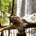 Dana Gregson - Facebook