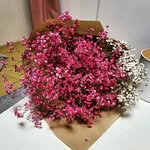 dana_grim - @danas_grim - Instagram
