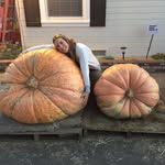 Dana Grimm - @danagrimm - Instagram