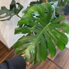 GrowNature_Bydana - @grownature.bydana - TikTok