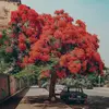 Dana Guzman - @danagzm - TikTok