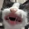 Jsjsjs - @danahacker1 - TikTok