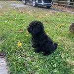 Dana Hadley - @khadley3.dh - Instagram