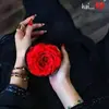 danahakim869 - @danahakim869 - TikTok