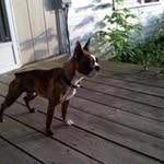 Dana Hamby - @dkh0805 - Instagram