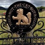 Dana Heck - @danaheck - Instagram