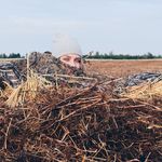 Dana Heck-Dubord - @hickheck - Instagram