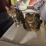 Dana Buterbaugh Heckman - @danamheckman - Instagram