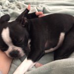 Dana Henne - @danaseagraves11 - Instagram