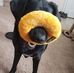Dana Mili Hodges - Facebook