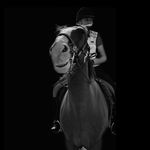 Dana Holmes - @equine_dana - Instagram