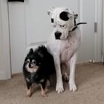 Dana Coggins Hopper - @dhopper0506 - Instagram