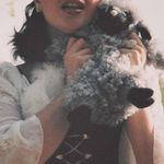 dana hopper - @hopper30964jdn - Instagram