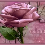 Dana Kerns - Facebook