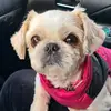 Dana Mazor Kogan - @dana.mazor.kogan - TikTok