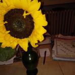 Dana Kupec - Facebook