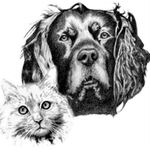 Dana Malone Fine Art - @dana_malone_fine_art - Instagram