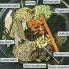 SOPLMENT HERBAL MEDICINE 💊 🌿 - @magungunan.mata.danamaza - TikTok