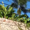 Danavon mattis - @danavon.mattis0 - TikTok