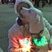 Dana Mayer - Facebook