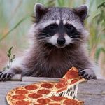 dana.mayer.882 - @black_raccoon_882 - Instagram