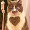 Dana❤Maynard - @jeyy.sayhiiii - TikTok