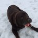 Dana McCabe - Facebook