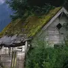 danamcclure249 - @danamcclure249 - TikTok