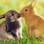 Dana Yini Mojica - @danayini.mojica - Instagram