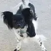 Dana Stephens - @dana.stephens - TikTok