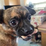 Dana Stephens - @dana.stephens.3745 - Instagram