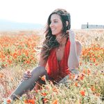 Dana Stephenson - @dayystephens - Instagram