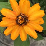 Dana Stowell Molzahn - Facebook