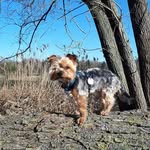Dana Tebbe - @dana.tebbe - Instagram