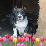 Dana Tuttle - @dana.tuttle.73 - Instagram