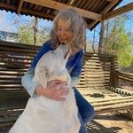 Dana Unger - @danahfsllc - Instagram