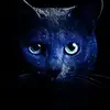 danahunger - @danahunger - TikTok