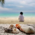 Dana Vannisa - @danavannisa - Instagram