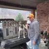 squirrelman - @danavanover - TikTok