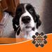 Dana Waldman - Facebook