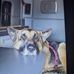 Dana Walter - Facebook