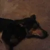 danawarner44 - @danawarner44 - TikTok