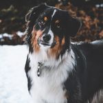 Dana Waters - @danawaters6856 - Instagram