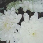 °•°•[bagirova_dana]•°•° - @_dana_way - Instagram