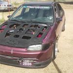 Dana Webb - @danawebb_civic - Instagram