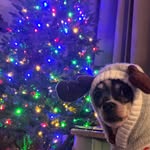 Dana Weldon - @danaweldon76 - Instagram