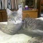 Dana Weldon - @weldondana - Instagram