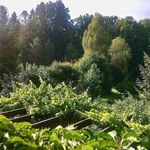Dana - @dana.welsht73 - Instagram
