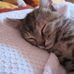 Dana Werner - Facebook