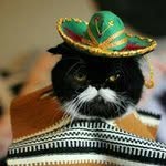 Dana Werner Reinke - @reinkedana - Instagram